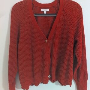 Lauren Conrad Cardigan